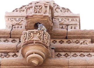 Take This Top Ranked Seo Companies Analysis And You’ll See Your Struggles Seriously