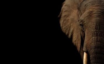 Spending A Provocative Slot Machines Works Only Under These Problem